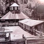 B&W photo of heritage octagonal barn, wooden barn and corral