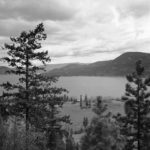 B&W landscape photo of a lake, pine trees in foreground